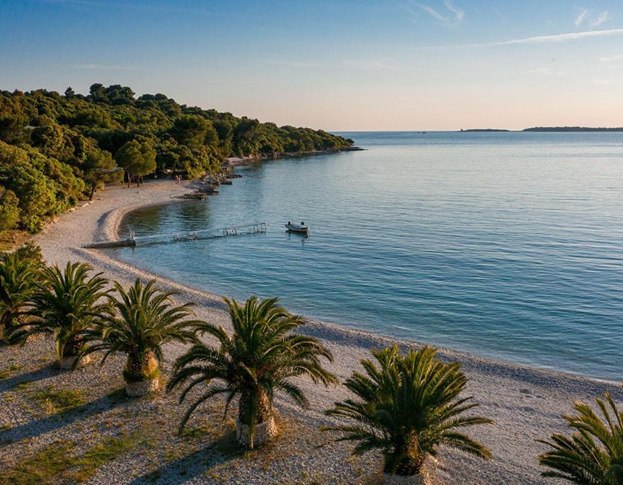 Punta Apartman *